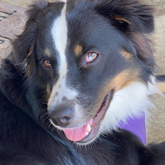 🍄Welcome to Sparrow’s Bubble..my name is Kriss! 🍄 - Picture 5 of 15